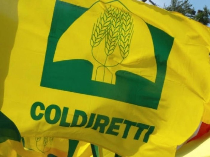 Coldiretti Novara-Vco – Superstrada Vercelli-Novara: sì a sviluppo del territorio ma senza eccessivi sacrifici all’agricoltura Coldiretti Novara-Vco – Superstrada Vercelli-Novara: sì a sviluppo del territorio ma senza eccessivi sacrifici all’agricoltura