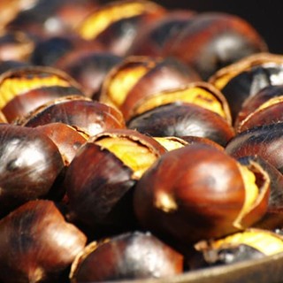 Castagne, il superfood d’autunno: in Piemonte produzione in crescita e qualità ottima