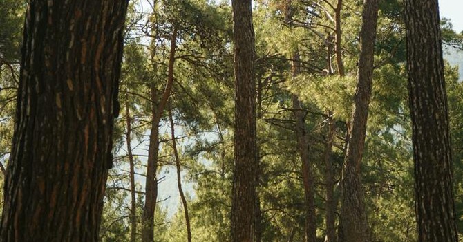 Ospitalità Italiana: aperto il bando per la qualificazione dei campeggi