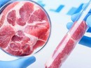 Tre italiani su quattro temono il controllo del cibo da parte delle grandi potenze finanziarie: l’allarme Coldiretti-Censis Tre italiani su quattro temono il controllo del cibo da parte delle grandi potenze finanziarie: l’allarme Coldiretti-Censis