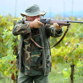 Foto generica d'archivio Foto generica d'archivio