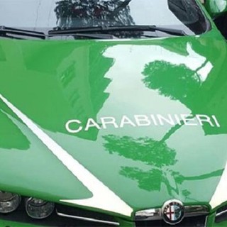 Fuoristrada sul Mottarone: due motociclisti sanzionati e una denuncia per resistenza a pubblico ufficiale