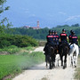 Maxi-servizio straordinario contro lo spaccio nei boschi biellesi, in azione anche i Carabinieri a cavallo FOTO e VIDEO Maxi-servizio straordinario contro lo spaccio nei boschi biellesi, in azione anche i Carabinieri a cavallo FOTO e VIDEO