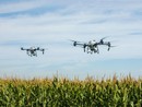 Via libera ai droni in agricoltura: una rivoluzione tecnologica per il settore