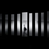 Foto di David Werbrouck su Unsplash