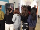 Si è conclusa con successo la mostra “Donne matematiche”