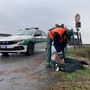 Abbandono rifiuti a Novara, quattro sanzionati grazie ai controlli della Polizia Locale