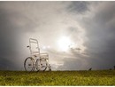 Dalla provincia un bando rivolto alle associazioni sportive per sostenere progetti a favore della disabilità