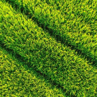 Posa erba sintetica: perché la fase di installazione incide su durata e resa estetica