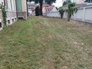 Avviato il taglio dell'erba nelle scuole superiori di Novara in vista degli esami di riparazione