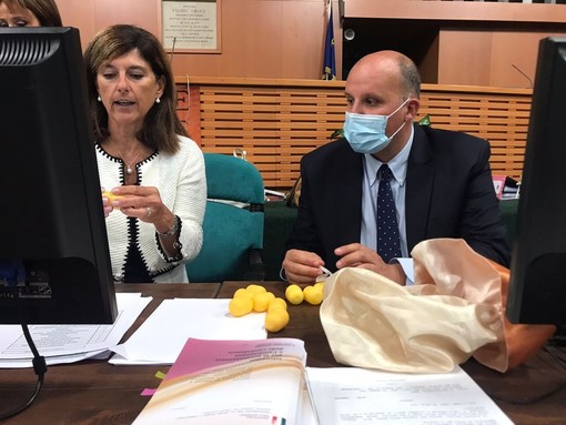 Elezioni, la scheda del Senato in Piemonte: Mastella primo partito, destra prima della sinistra