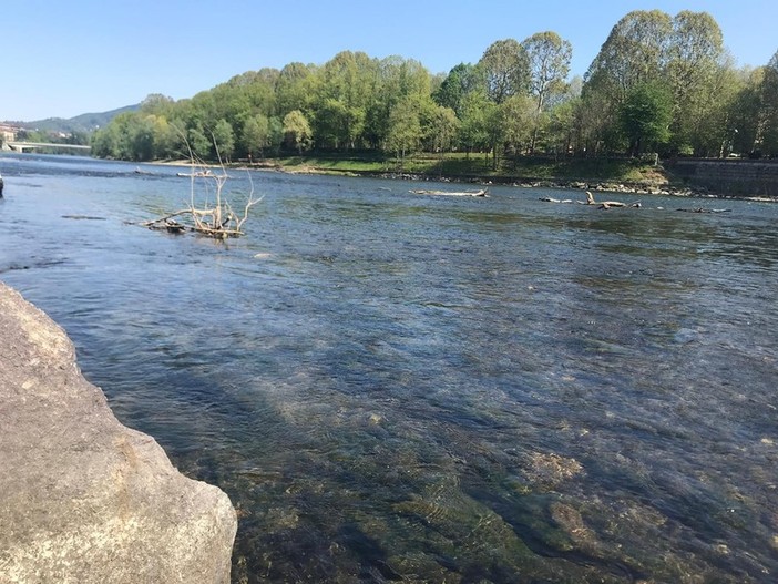 Manutenzione dei corsi d'acqua: dalla regione 125mila euro alla provincia di Novara Manutenzione dei corsi d'acqua: dalla regione 125mila euro alla provincia di Novara