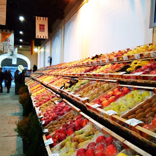 Le temperature sotto zero mettono a dura prova le colture piemontesi