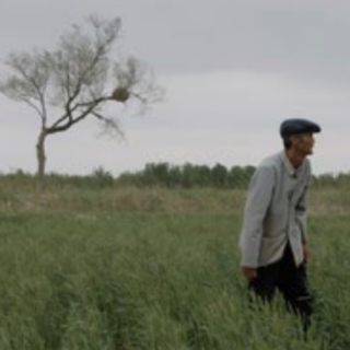 Al via la nuova edizione del festival "Corto e Fieno"