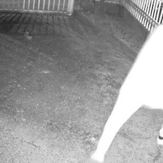 Sorpreso a rubare una bici in un cortile condominiale: arrestato a Novara ladro seriale