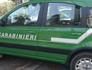 Scoperta coltivazione di marijuana nel giardino di un’abitazione