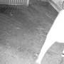 Sorpreso a rubare una bici in un cortile condominiale: arrestato a Novara ladro seriale