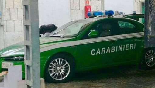 E’ attivo al Comune di Borgomanero lo sportello forestale E’ attivo al Comune di Borgomanero lo sportello forestale