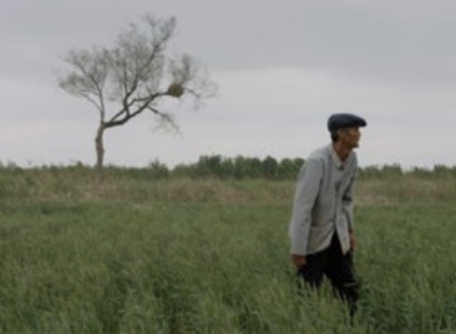 Al via la nuova edizione del festival "Corto e Fieno" Al via la nuova edizione del festival "Corto e Fieno"