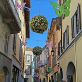 Arona si veste di primavera tra fiori, luci e colori
