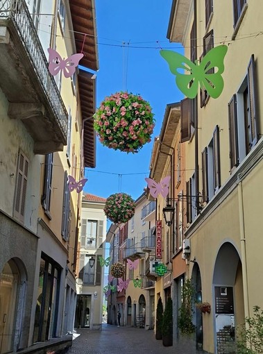 Arona si veste di primavera tra fiori, luci e colori