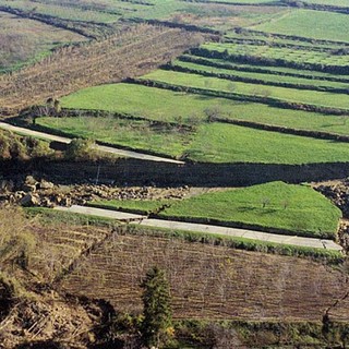 Frane in Piemonte: presentata la guida nazionale e il lavoro di Arpa sul territorio