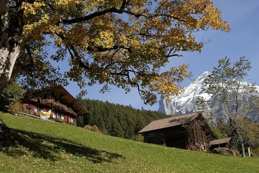Agosto negli agriturismi, crescita delle presenze del 3%