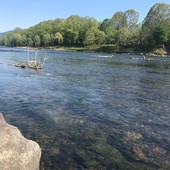 Manutenzione dei corsi d'acqua: dalla regione 125mila euro alla provincia di Novara Manutenzione dei corsi d'acqua: dalla regione 125mila euro alla provincia di Novara