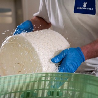 Gorgonzola dop, produzione da record nel 2025