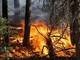 Incendi boschivi, in Piemonte scatta lo stato di massima pericolosità: ecco i divieti da rispettare