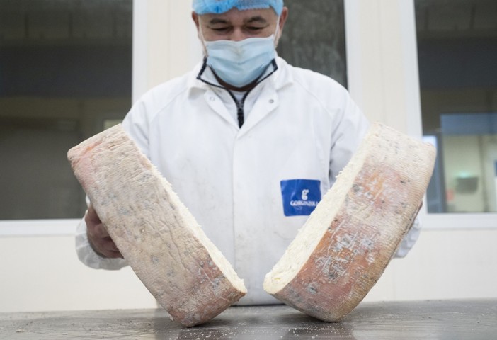 Gorgonzola Dop, record di produzione nel 2019 Gorgonzola Dop, record di produzione nel 2019