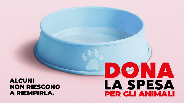 Solidarietà a quattro zampe: l'11 luglio torna la raccolta alimentare "Dona la Spesa" Solidarietà a quattro zampe: l'11 luglio torna la raccolta alimentare "Dona la Spesa"