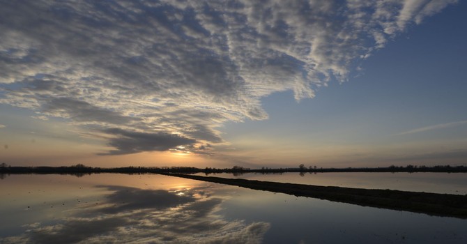 Ripristino della natura, verso il Piano nazionale: consultazione pubblica fino a settembre