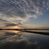 Ripristino della natura, verso il Piano nazionale: consultazione pubblica fino a settembre