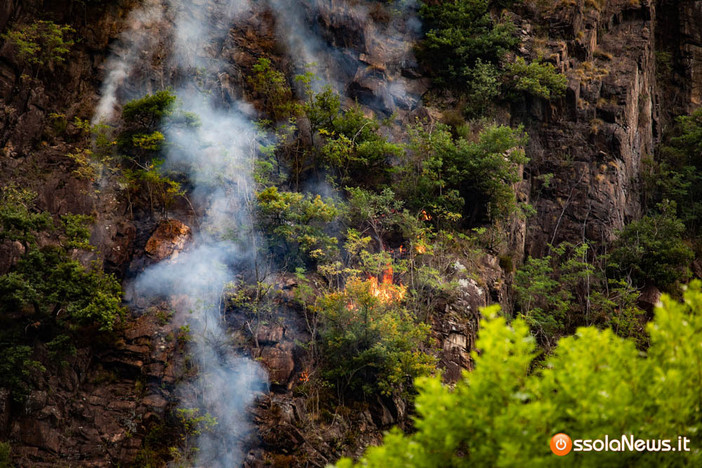 Rischio incendi, nei parchi del Ticino e del Lago Maggiore scatta il divieto di accendere fuochi Rischio incendi, nei parchi del Ticino e del Lago Maggiore scatta il divieto di accendere fuochi