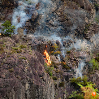 Incendi boschivi, M5S: "Il Piemonte è ancora senza un piano regionale. Basta ritardi"