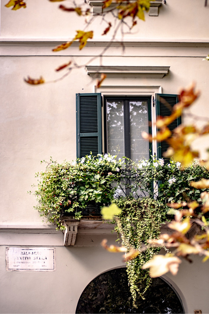 Novara fiorisce con la seconda edizione di Balconi in fiore: al via le iscrizioni