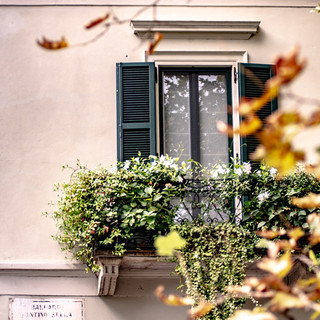 Novara fiorisce con la seconda edizione di Balconi in fiore: al via le iscrizioni