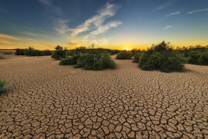 Caldo estremo e siccità mettono a dura prova l’agricoltura europea: l'allarme del bollettino MARS della Commissione UE Caldo estremo e siccità mettono a dura prova l’agricoltura europea: l'allarme del bollettino MARS della Commissione UE