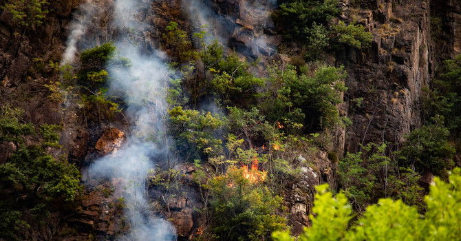 Rischio incendi, nei parchi del Ticino e del Lago Maggiore scatta il divieto di accendere fuochi Rischio incendi, nei parchi del Ticino e del Lago Maggiore scatta il divieto di accendere fuochi