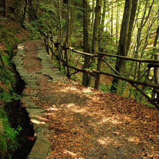 Giornate Fai d’Autunno, a Galliate un viaggio tra acqua, storia e natura nel Parco del Ticino