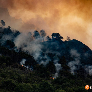 Incendi, il M5S chiede lo stop alla caccia nelle aree boschive devastate dal fuoco