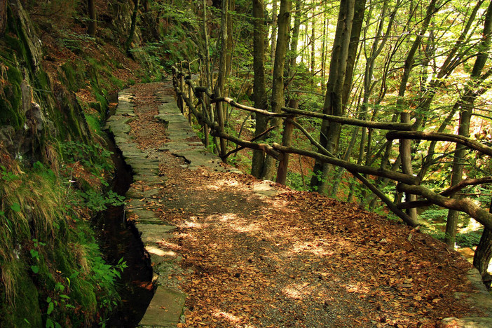 Giornate Fai d’Autunno, a Galliate un viaggio tra acqua, storia e natura nel Parco del Ticino Giornate Fai d’Autunno, a Galliate un viaggio tra acqua, storia e natura nel Parco del Ticino