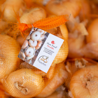 Fontaneto d'Agogna celebra la Cipolla Bionda: nuova sede e palatenda per la fiera del Presidio Slow Food