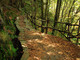 Giornate Fai d’Autunno, a Galliate un viaggio tra acqua, storia e natura nel Parco del Ticino Giornate Fai d’Autunno, a Galliate un viaggio tra acqua, storia e natura nel Parco del Ticino