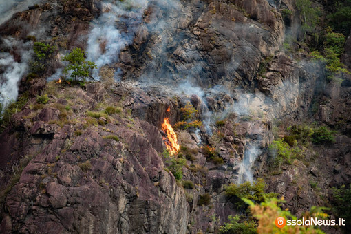 Incendi boschivi, M5S: "Il Piemonte è ancora senza un piano regionale. Basta ritardi" Incendi boschivi, M5S: "Il Piemonte è ancora senza un piano regionale. Basta ritardi"