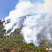 Emergenza idrica in Piemonte, più acqua dalla Svizzera. Autobotti in 109 Comuni Emergenza idrica in Piemonte, più acqua dalla Svizzera. Autobotti in 109 Comuni