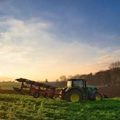 Controlli sull'origine dei prodotti, Coldiretti Piemonte: "Un passo contro il falso Made in Italy"