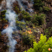 Rischio incendi, nei parchi del Ticino e del Lago Maggiore scatta il divieto di accendere fuochi Rischio incendi, nei parchi del Ticino e del Lago Maggiore scatta il divieto di accendere fuochi