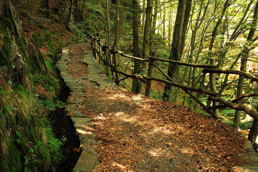 Giornate Fai d’Autunno, a Galliate un viaggio tra acqua, storia e natura nel Parco del Ticino Giornate Fai d’Autunno, a Galliate un viaggio tra acqua, storia e natura nel Parco del Ticino